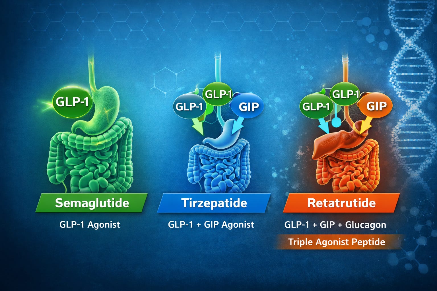 Retatrutide vs HGH